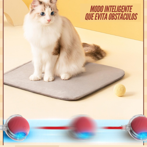 2 JUGUETES INTERACTIVOS PARA MASCOTAS / PAGO CONTRA ENTREGA