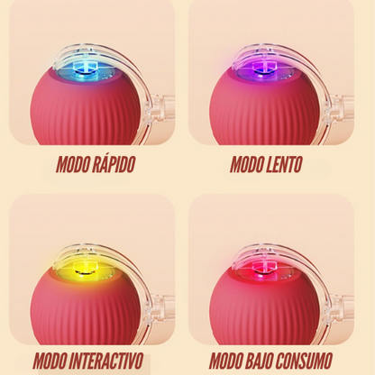 2 JUGUETES INTERACTIVOS PARA MASCOTAS / PAGO CONTRA ENTREGA